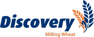 Discovery product logo