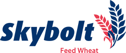 Skybolt product logo
